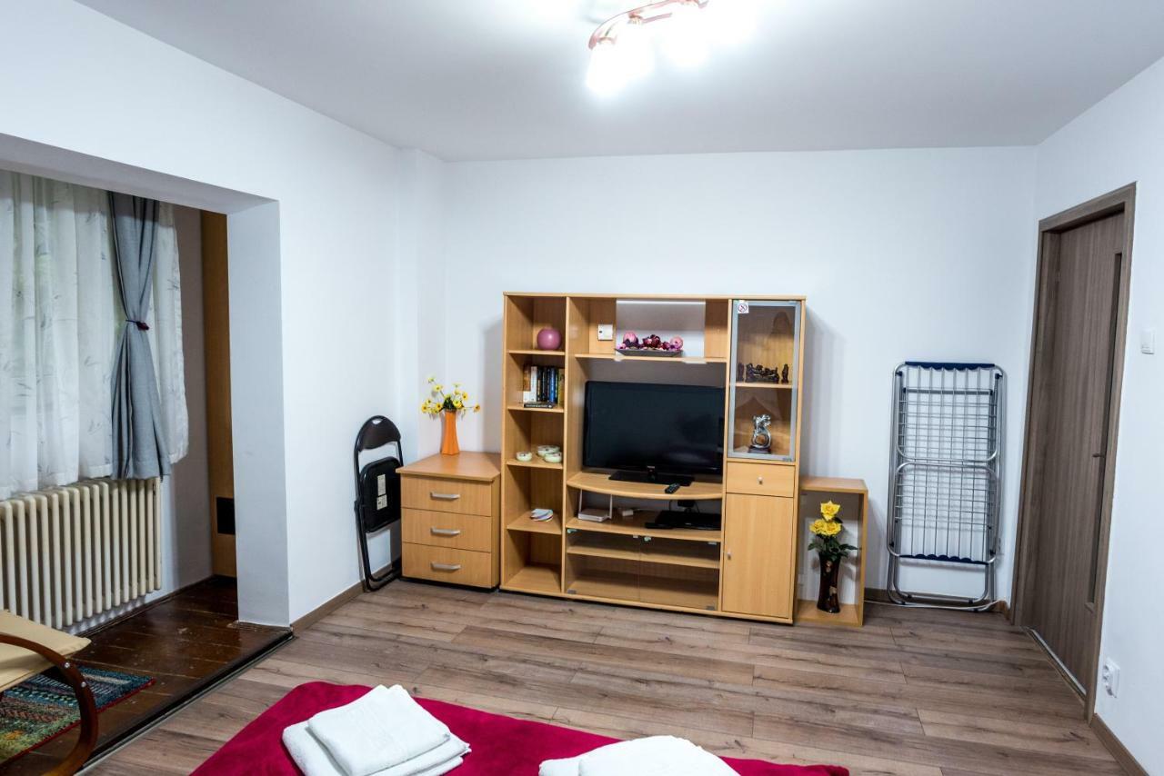 Apartamento de 30 m2 com 1 quarto Apartamento Timişoara Exterior foto