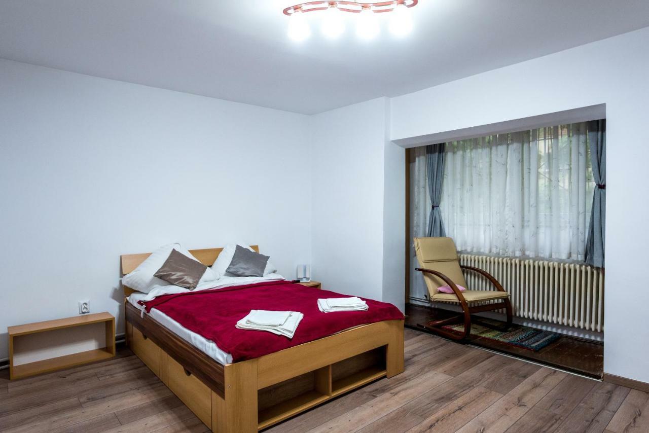 Apartamento de 30 m2 com 1 quarto Apartamento Timişoara Exterior foto